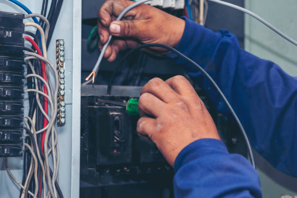 Best Electric Panel Repair  in Inglis, FL