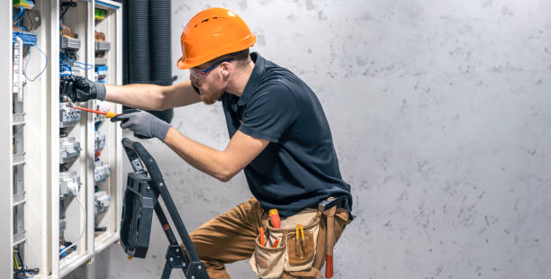 Best Electric Panel Repair  in Inglis, FL